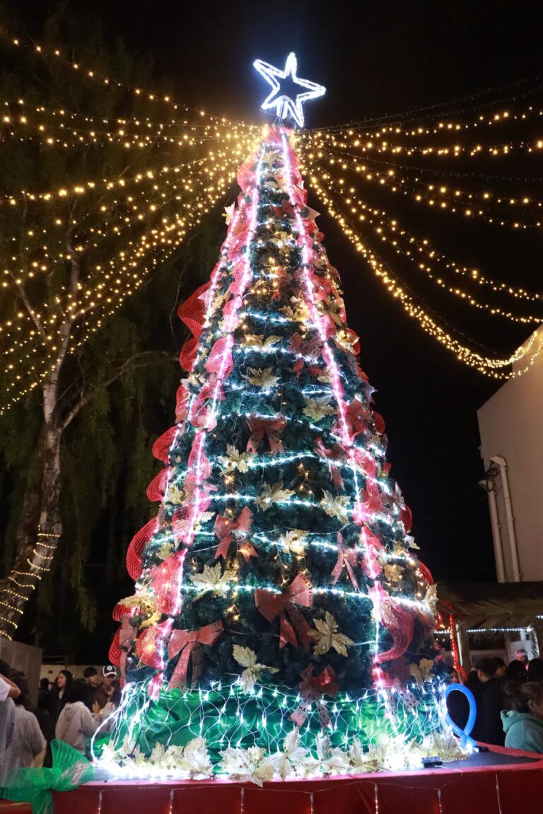 Collipulli inaugura la Navidad con espectáculo de danza y luces en su árbol navideño
