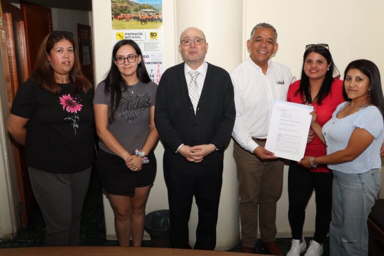 Municipio concreta traspaso de terreno para beneficiar a 318 familias de Collipulli