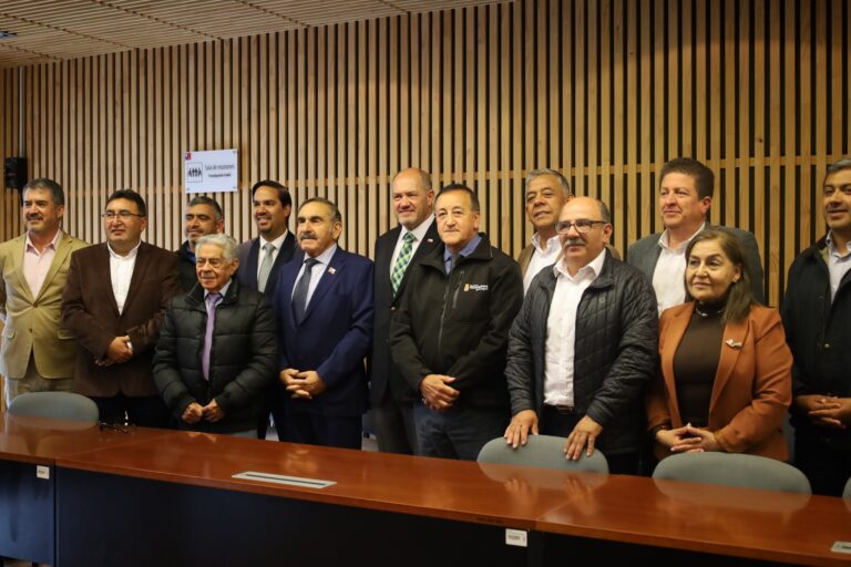Alcaldes de Malleco se reúnen con autoridades de Gobierno para abordar desempleo y seguridad en la provincia