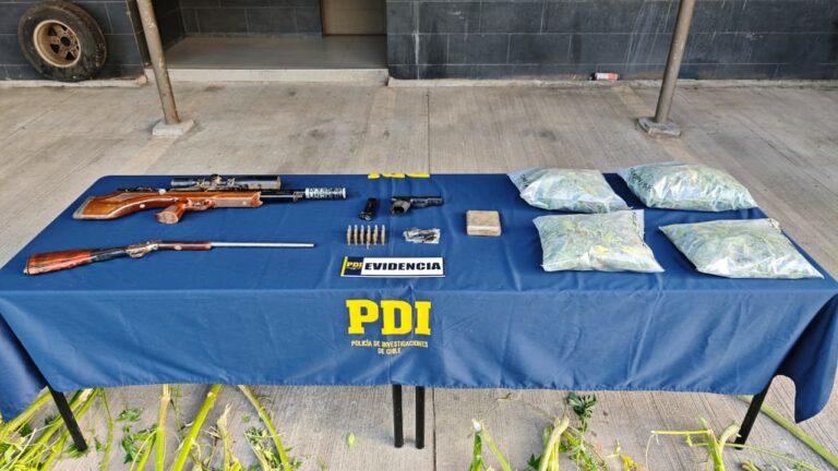 PDI desarticula cultivo de cannabis en Collipulli: incauta mas de 2 kilos de droga, 116 plantas y armamento