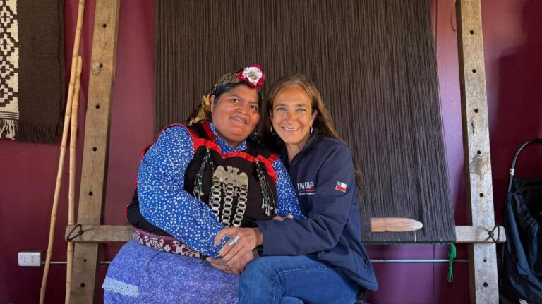 Reconocen a destacada artesana de Ercilla con Sello Manos Campesinas