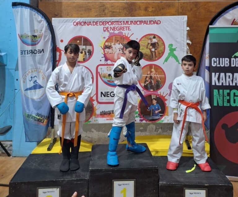 Kárate collipullense brilla con destacados resultados en la “Copa Negrete”