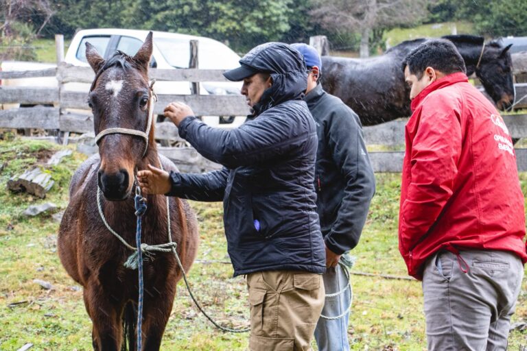 OPERATIVO VETERINARIO ENTREGÓ ATENCIÓN Y APOYO A FAMILIAS DEL SECTOR NIBLINTO