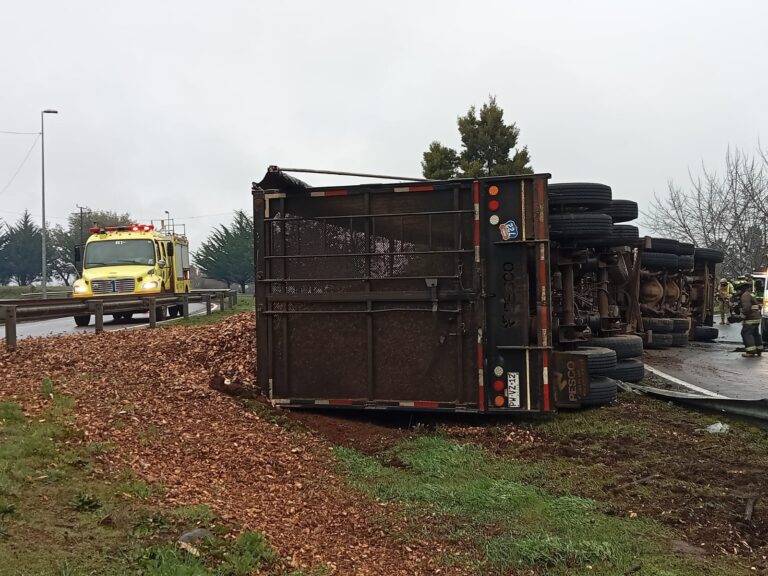 UN LESIONADO DEJA VOLCAMIENTO DE CAMIÓN EN ACCESO A COLLIPULLI
