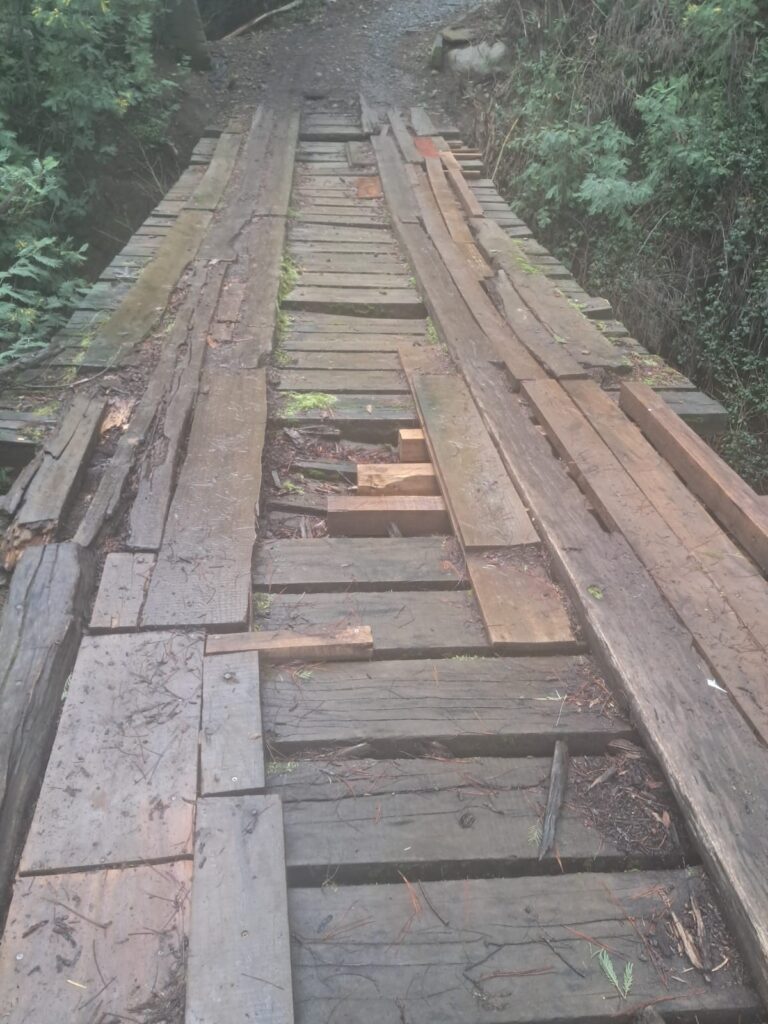 Vecinos del sector Bajo Malleco denuncian deterioro de puente y piden solución urgente