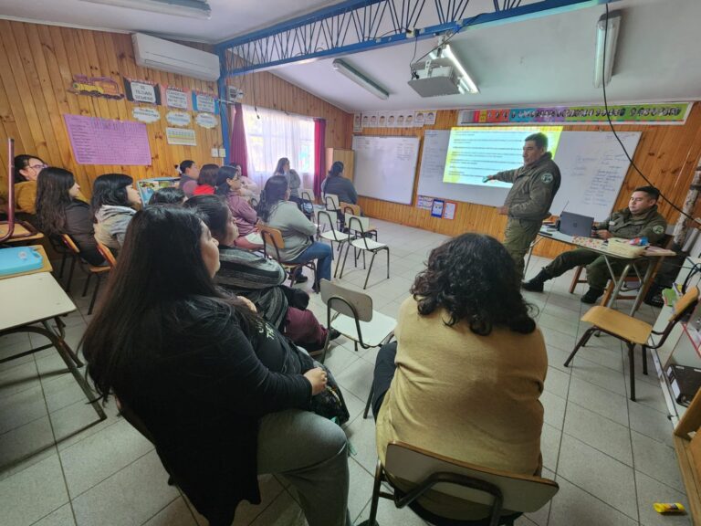 IMPORTANTE CHARLA-TALLER DICTA PACI COLLIPULLI