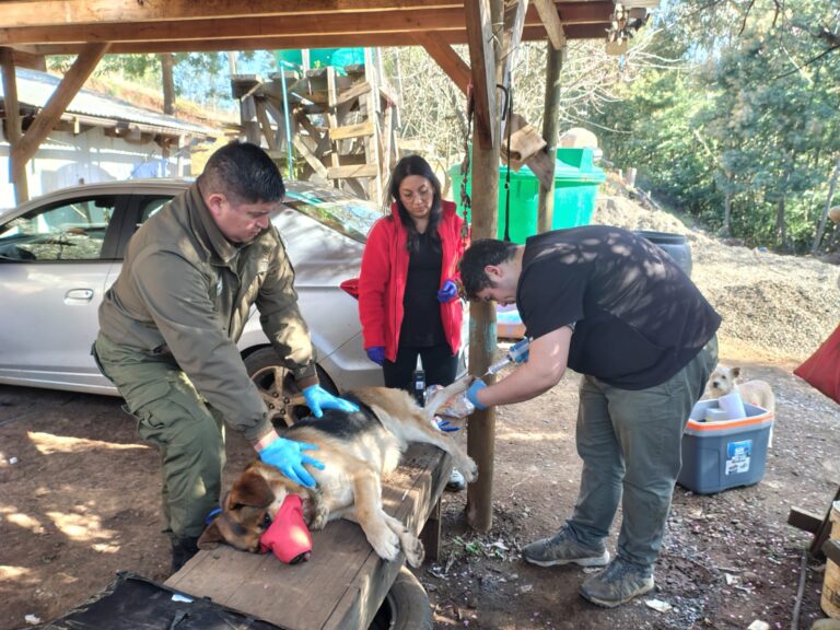 ACCIÓN COMUNITARIA DE PATRULLA PACI DE CARABINEROS