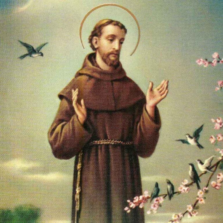 CELEBRACION A SAN FRANCISCO DE ASÍS CON SANTA MISA Y BENDICIÓN DE MASCOTAS