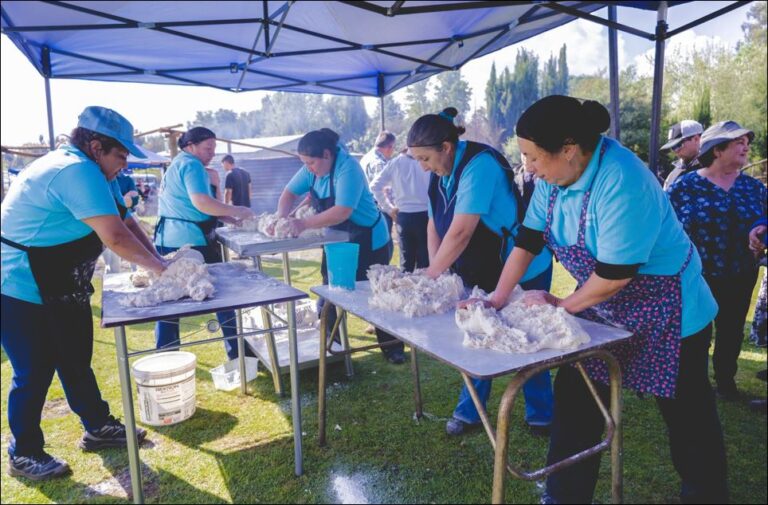 Collipulli celebró las tradiciones campesinas con la segunda versión de la Tortilla Más Grande de la Novena Región